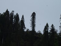 Cliquez sur l'image pour l'agrandir