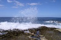 Le plateau corallien balayé par les vagues