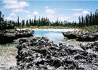 ile-des-pins-oro-2.gif. (29K)