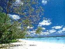 lifou-5.jpg (29K)