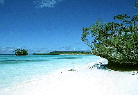 lifou-luengoni.gif(29K)
