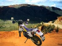 suzuki375.JPG (8410 octets)